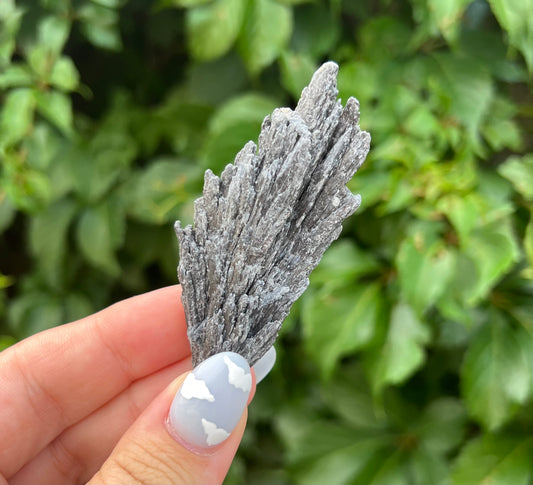 Black Kyanite aka Witches Broom