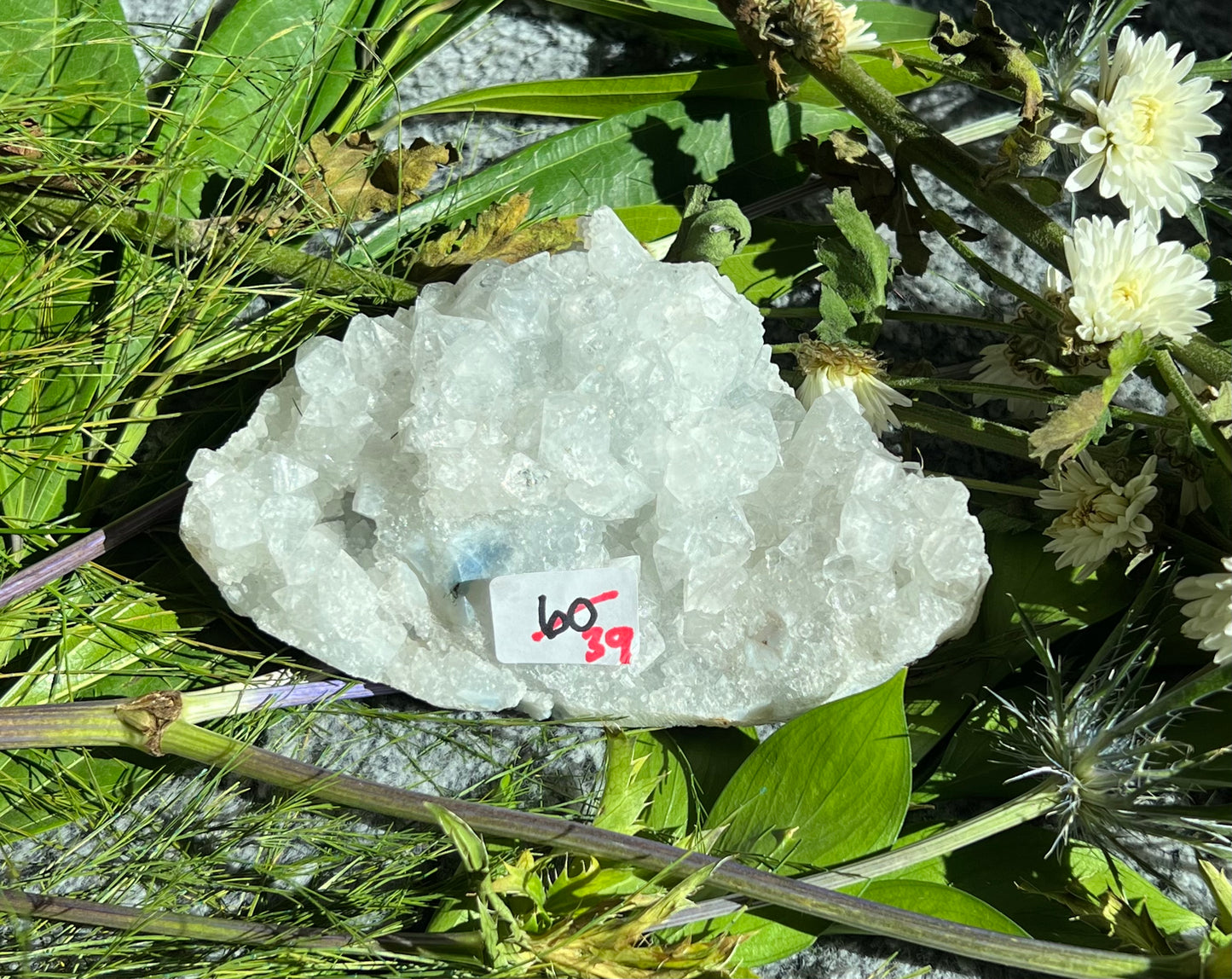 Apophyllite Specimen