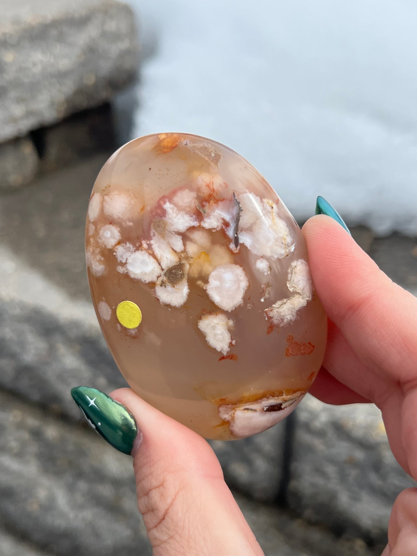 Flower Agate Palmstone