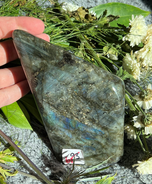 Labradorite Freeform